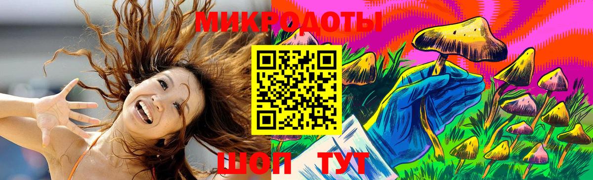Галлюциногенные грибы Psilocybine cubensis Пятигорск