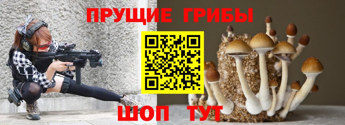Галлюциногенные грибы GOLDEN TEACHER  Вход с VPN  закладки  Пятигорск 